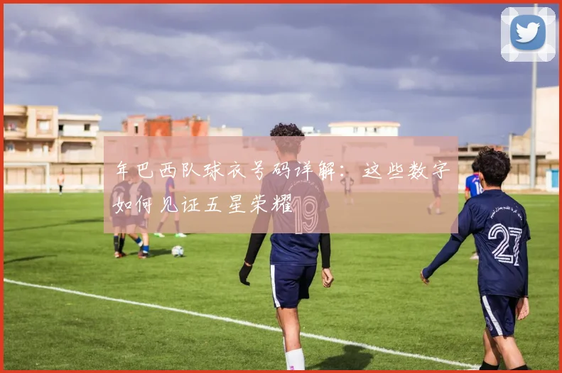 年巴西队球衣号码详解：这些数字如何见证五星荣耀